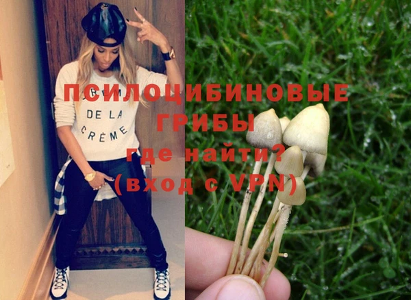 мескалин Медвежьегорск