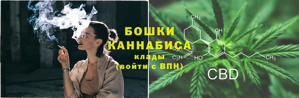 МДПВ Мегион