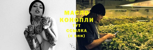 гашик Медногорск