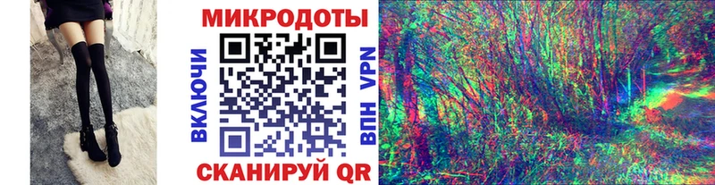 hydra вход  где найти   Пучеж  Псилоцибиновые грибы Psilocybe 